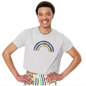 Pride Adult The PHLUID Project Short Sleeve Rainbow Cropped T-Shirt Grey M